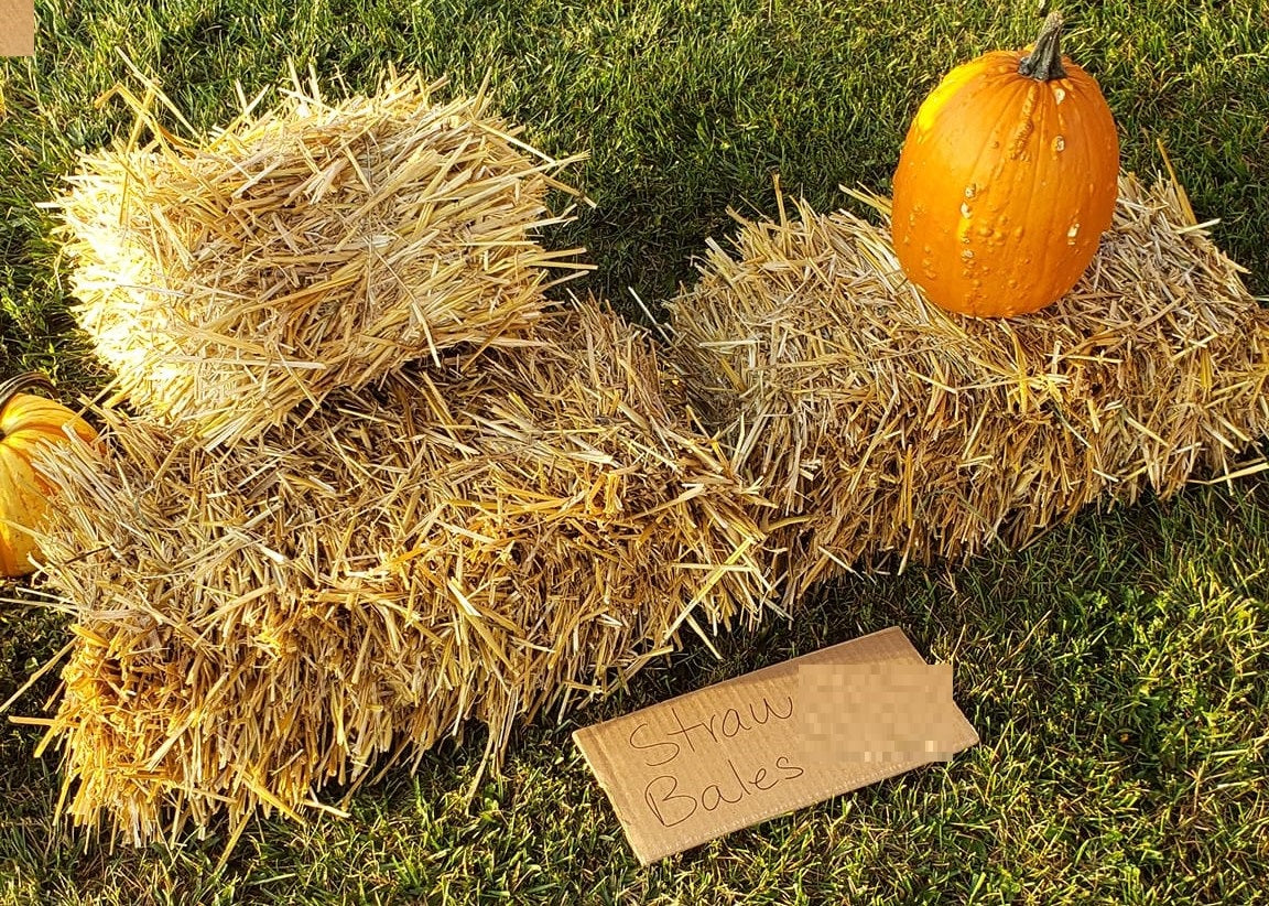 Straw Bales Decorative 20"x10"x8"