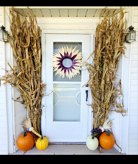 50" Dried Corn Stalks Bundle Fall Decor Thanksgiving Halloween & Fall