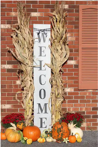 60" (5 Feet)  Dried Corn Stalks Bundle Fall Decor Thanksgiving Halloween & Fall - Pre-Order
