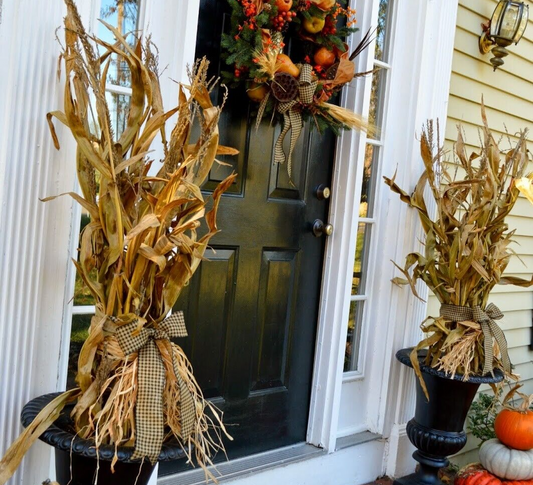24" Dried Corn Stalks Bundle Fall Decor Holiday Decorations - Pre-Order